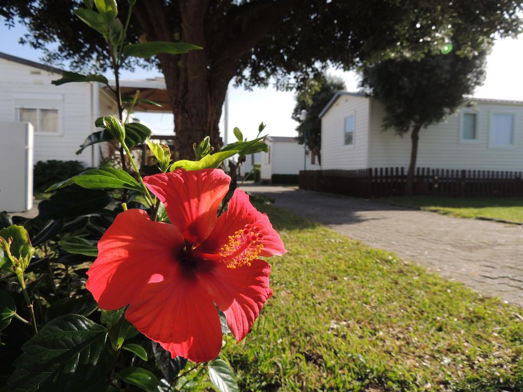 Camping 1ª O Muino - Bungalow Park Oia Exterior photo